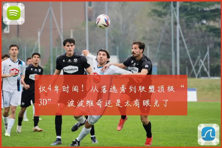 仅4年时间！从落选秀到联盟顶级“3D”，波波维奇还是太有眼光了